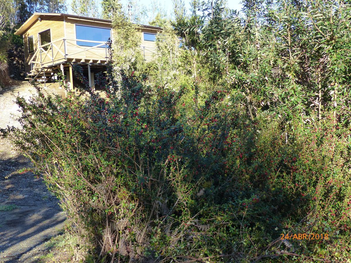 Cabanas Latitud 41 Sur Quillaipe Exterior photo